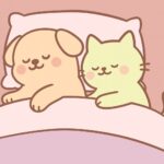 Best pet products including feeding bowls, grooming brushes, toys, and supplements