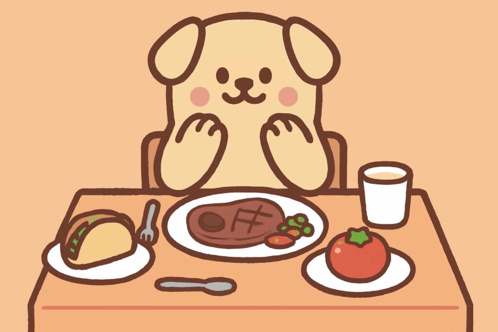 Best pet products including feeding bowls, grooming brushes, toys, and supplements