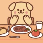 Best pet products including feeding bowls, grooming brushes, toys, and supplements