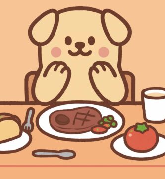 Best pet products including feeding bowls, grooming brushes, toys, and supplements