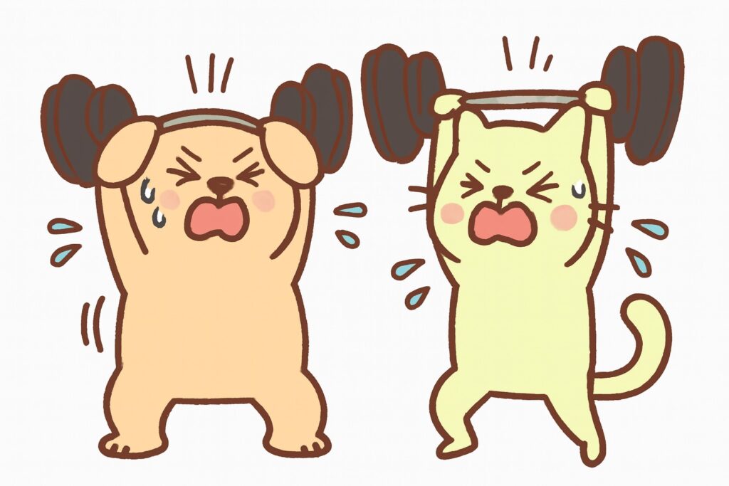 Best pet products including feeding bowls, grooming brushes, toys, and supplements