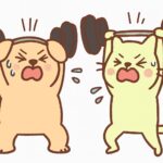 Best pet products including feeding bowls, grooming brushes, toys, and supplements