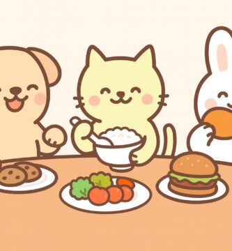 Best pet products including feeding bowls, grooming brushes, toys, and supplements