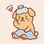 Best pet products including feeding bowls, grooming brushes, toys, and supplements