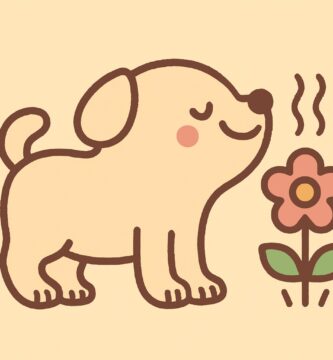 Discover the best pet care tips, nutrition guides, and product reviews for dogs, cats, rabbits, and more.