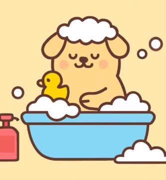 Discover the best pet care tips, nutrition guides, and product reviews for dogs, cats, rabbits, and more.